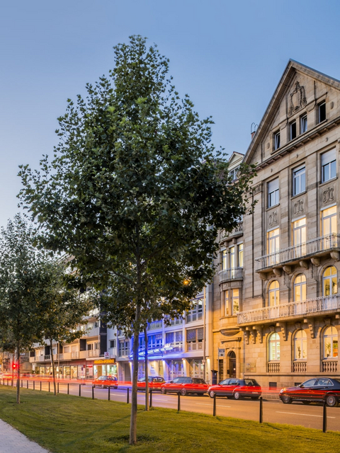 Kanzlei Hengerer & Niemeier